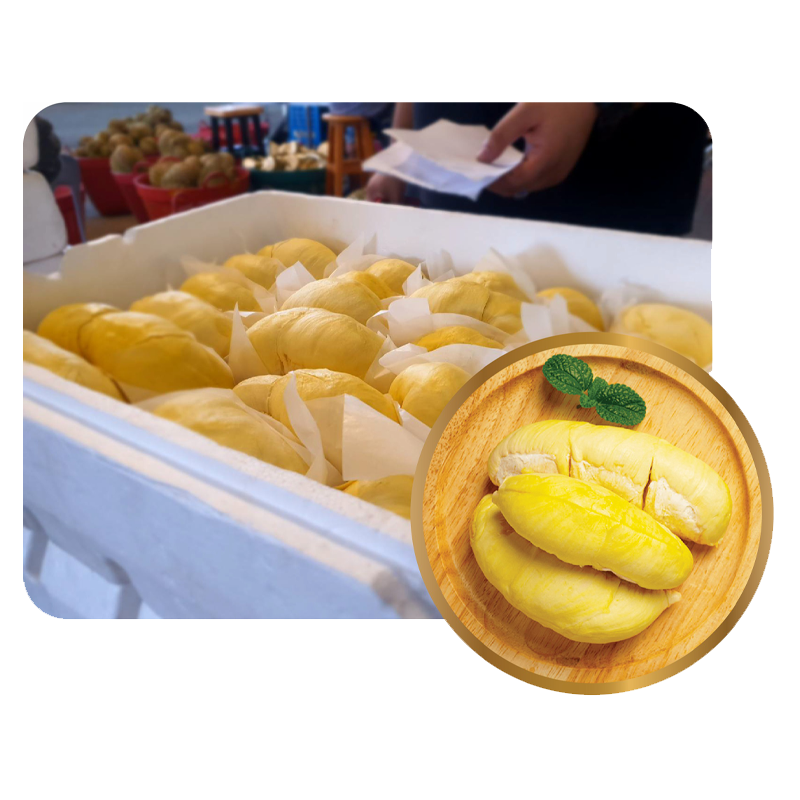 Fresh Cut Durian