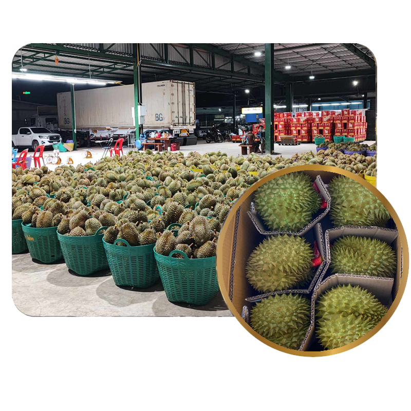 Fresh Durian